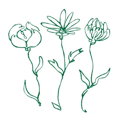 天然原料のこだわり