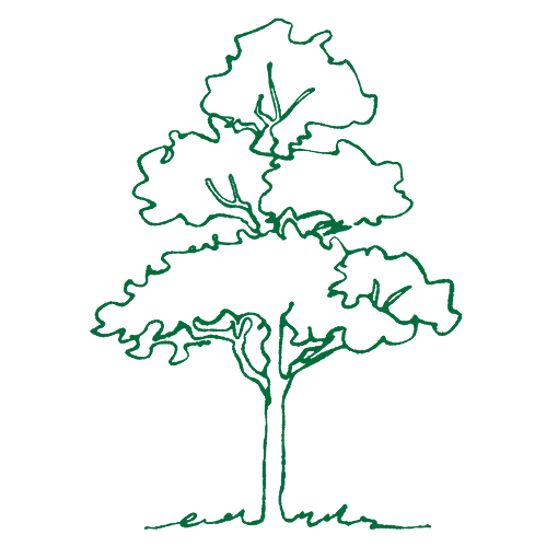 きれいな水を未来へ