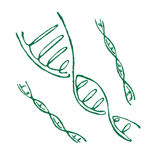 すべての原料に、確かな安心を