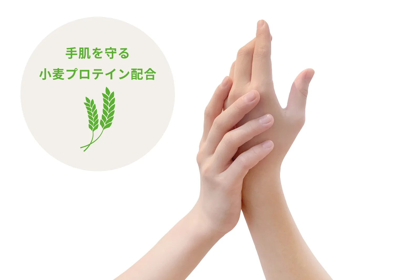 手肌を守る小麦プロテイン配合
