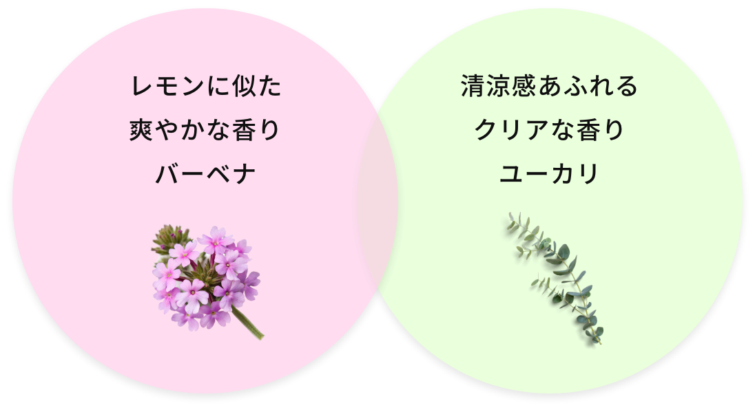 レモンに似た爽やかな香りバーベナ・清涼感あふれるクリアな香りユーカリ